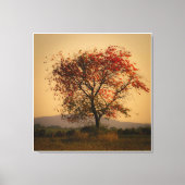 Sonniger Herbstbaum bei Dämmerung Leinwanddruck (Vorderseite)