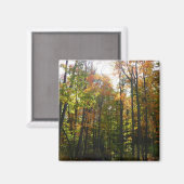 Sonniger Herbstwald - Herbstlandschaft Magnet (Vorderseite/Rückseite)