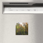 Sonniger Herbstwald - Herbstlandschaft Magnet (In Situ (Geschirrspüler))