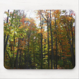 Sonniger Herbstwald - Herbstlandschaft Mousepad