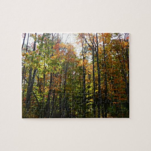 Sonniger Herbstwald - Herbstlandschaft Puzzle (Horizontal)