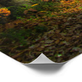 Sonniger Herbstwald - Personalisiert Poster (Ecke)