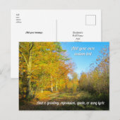 Sonniger Herbstwald - Personalisiert Postkarte (Vorne/Hinten)