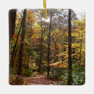 Sonniger Herbstweg im Laurel Hill State Park Keramikornament