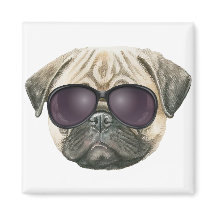 Sonniger Mops, Niedlicher französischer Bulldogge