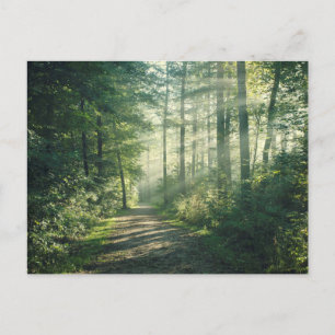 Sonniger Oktober Morgen in Hamburg Postkarte