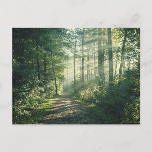 Sonniger Oktober Morgen in Hamburg Postkarte (Vorderseite)