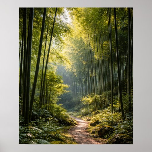 Sonniger Pfad durch Bambuswald Poster (Vorne)