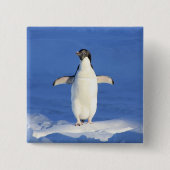 Sonniger Pinguin auf Eis-Foto Button (Vorderseite)