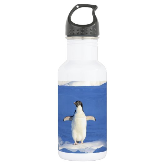 Sonniger Pinguin auf Eis-Foto Edelstahlflasche (Vorderseite)