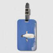 Sonniger Pinguin auf Eis-Foto Gepäckanhänger (Vorderseite Vertikal)