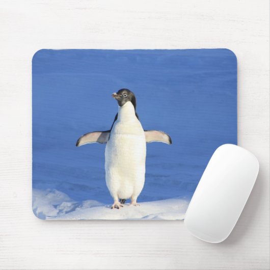Sonniger Pinguin auf Eis-Foto Mousepad (Mit Mouse)