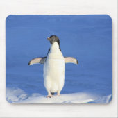 Sonniger Pinguin auf Eis-Foto Mousepad (Vorne)