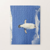 Sonniger Pinguin auf Eis-Foto Puzzle (Vertikal)