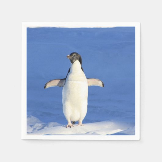 Sonniger Pinguin auf Eis Serviette (Vorderseite)
