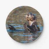 Sonniger Seeotter Pappteller (Vorderseite)