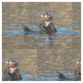 Sonniger Seeotter Stoff (Nahaufnahme)