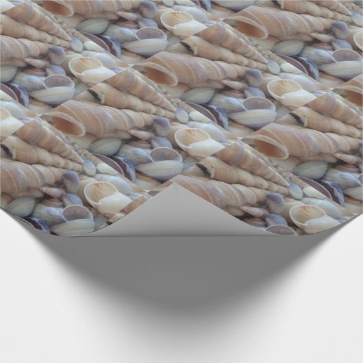 Sonniger Sommer Muscheln. Romantisch, exotisch tro Geschenkpapier (Ecke)