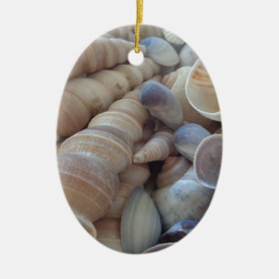 Sonniger Sommer Muscheln. Romantisch, exotisch tro Keramik Ornament