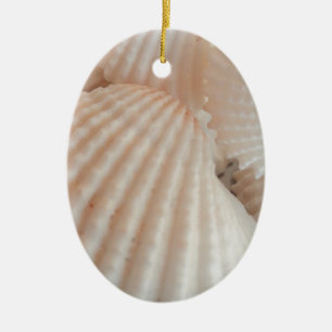 Sonniger Sommer Muscheln. Romantisch, exotisch tro Keramikornament