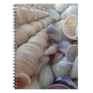 Sonniger Sommer Muscheln. Romantisch, exotisch tro Notizblock