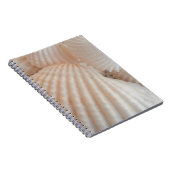 Sonniger Sommer Muscheln. Romantisch, exotisch tro Notizblock (Rechte Seite)
