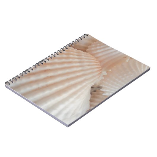 Sonniger Sommer Muscheln. Romantisch, exotisch tro Notizblock (Linke Seite)