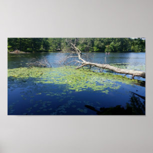 sonniger Sommer Poster