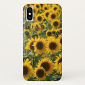 Sonniger Sonnenblumen iPhone Fall Case-Mate iPhone Hülle (Rückseite)