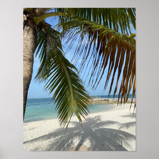Sonniger Strand auf den Bahamas Poster (Vorne)