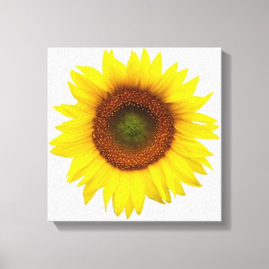 Sonniger Tagessonnenblume eingewickelter Leinwanddruck (Vorderseite)