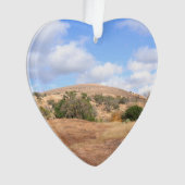 Sonniger Texas verzauberter Ornament (Vorderseite)