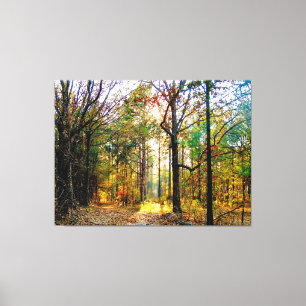 Sonniger Waldweg im Herbst Leinwanddruck