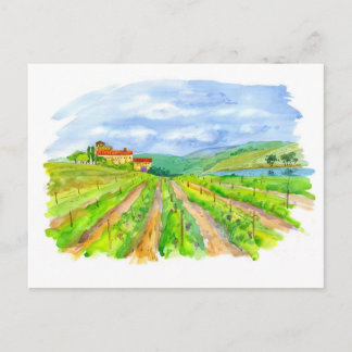 Sonniger Weinberg. Aquarellmalerei Postkarte