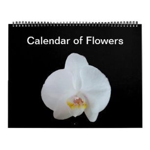 Sonniges Daze Foto Kalender der Blume