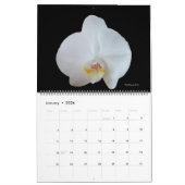Sonniges Daze Foto Kalender der Blume (Jan 2026)