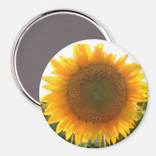 Sonniges Herz Magnet (Vorderseite/Rückseite)