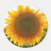 Sonniges Herz Magnet (Vorne)