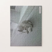 Sonniges Rätsel - Fehlentwicklungen Puzzle (Vertikal)