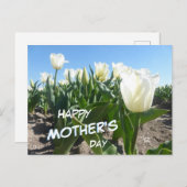 Sonniges weißes Tulips Fach Muttertag Postkarte (Vorne/Hinten)