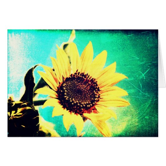 Sonntag (Vorderseite (Horizontal))