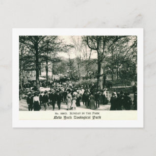 Sonntag am Bronx-Zoo Vintag Postkarte