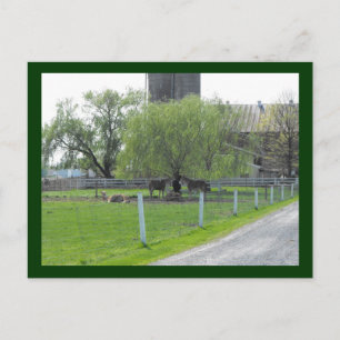 ~ Sonntag Nachmittag zu ~ Postkarte