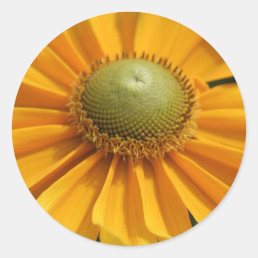 Sonntag Runder Aufkleber (Vorderseite)