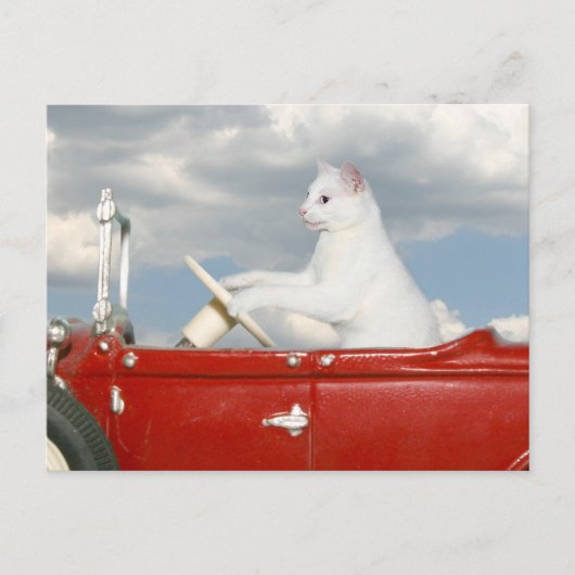 Sonntagsfahrt Postkarte (Vorderseite)