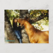 Sonntagsflüstern auf Postkarte (Vorderseite)