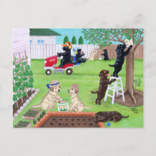 Sonntagsspass Labradors Painting Postkarte