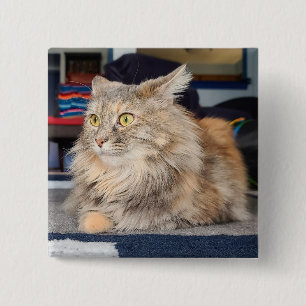 Sonntagsstimmung Button