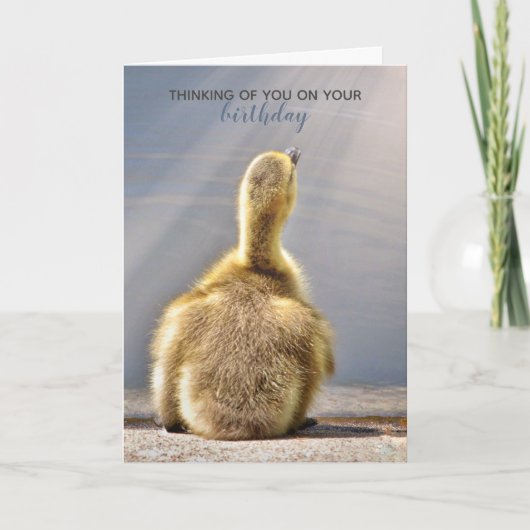 Sonntagswahl Karte (Vorderseite)