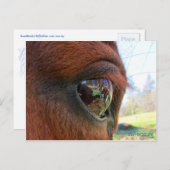 Sonntagsweltpostkarte Postkarte (Vorne/Hinten)